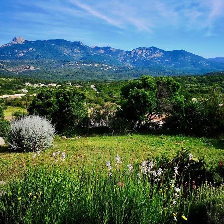 Appartements Avec Jardin Entre Porto-Vecchio Et Figari - Casa Mattiste Sotta Bagian luar foto
