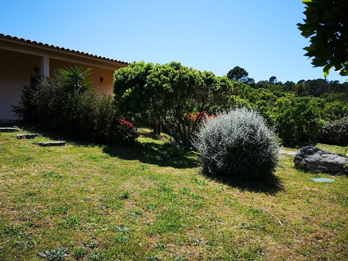 Appartements Avec Jardin Entre Porto-Vecchio Et Figari - Casa Mattiste Sotta Bagian luar foto