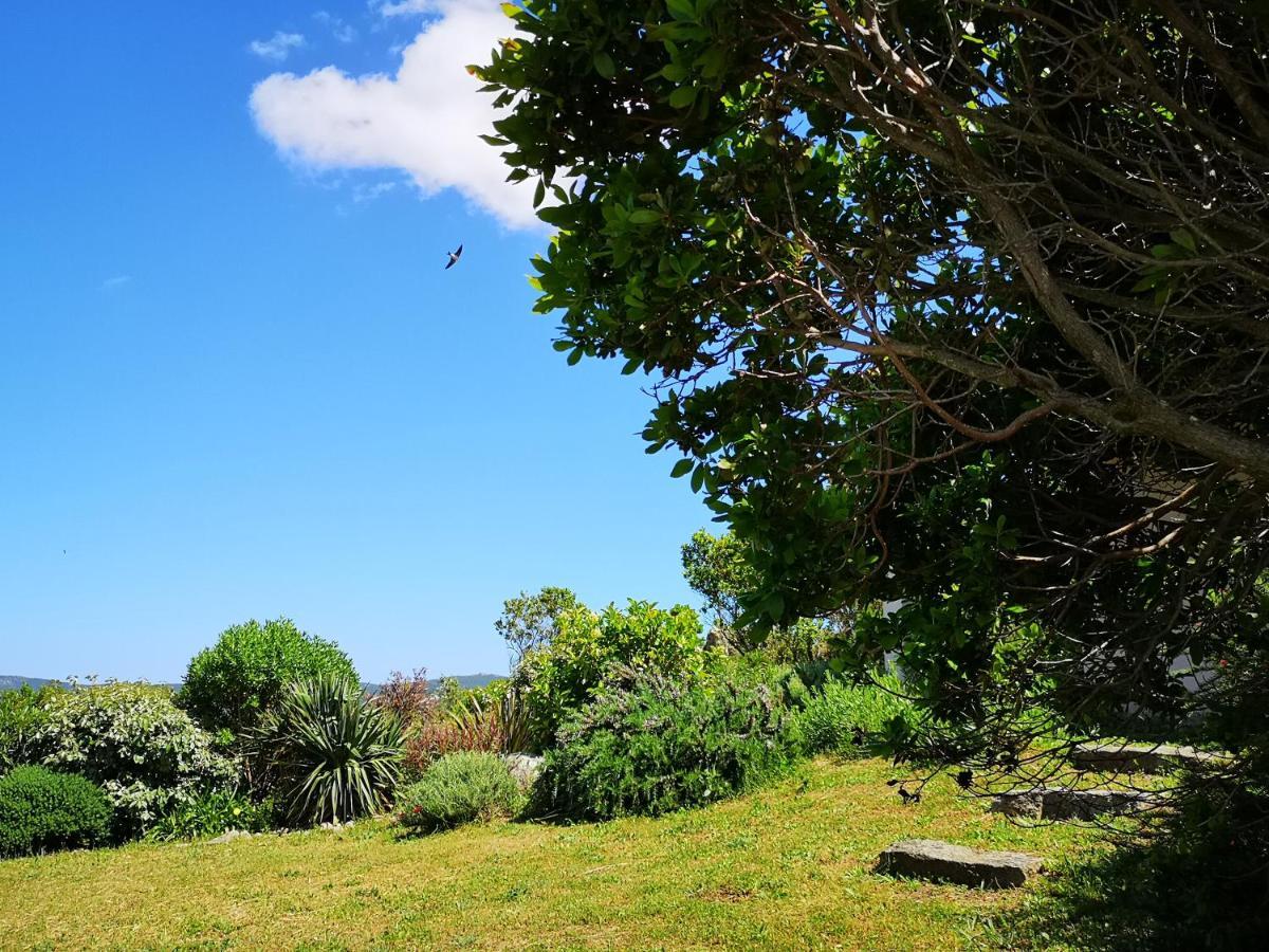 Appartements Avec Jardin Entre Porto-Vecchio Et Figari - Casa Mattiste Sotta Bagian luar foto